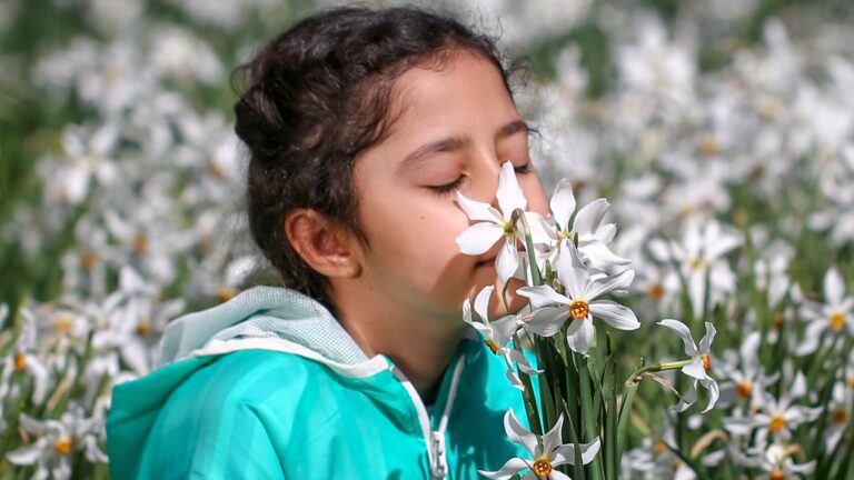 Aprende cómo sentir el aroma de las flores en cualquier momento del día