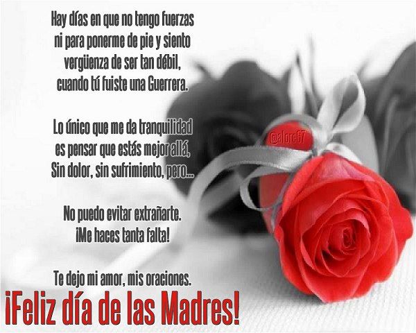 ¡Feliz Día de las Madres hasta el Cielo! Celebra el amor eterno con un homenaje a mamá